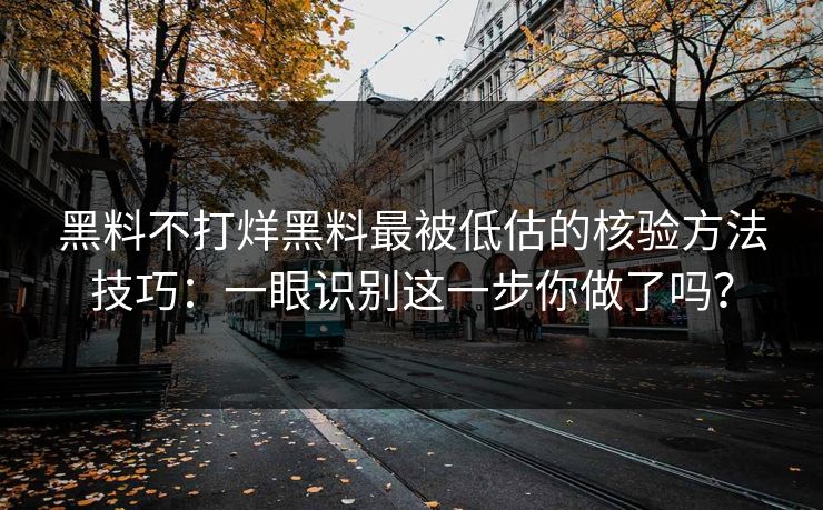 黑料不打烊黑料最被低估的核验方法技巧：一眼识别这一步你做了吗？