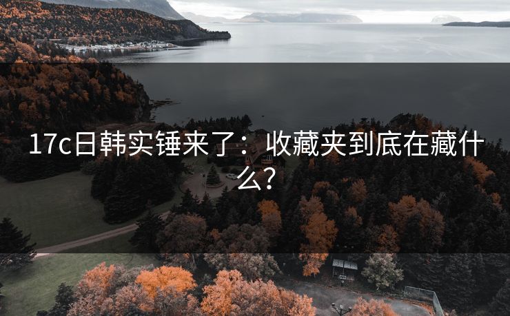 17c日韩实锤来了：收藏夹到底在藏什么？