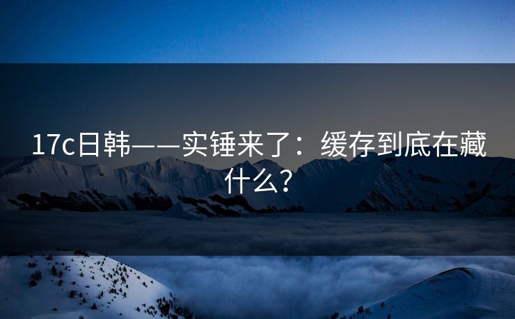 17c日韩——实锤来了：缓存到底在藏什么？