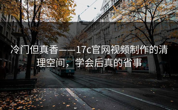 冷门但真香——17c官网视频制作的清理空间，学会后真的省事