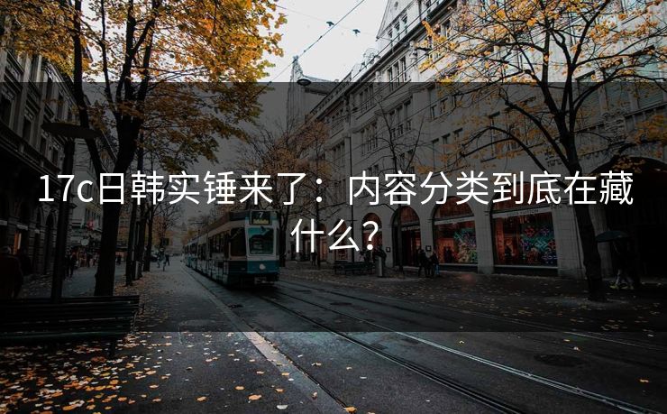 17c日韩实锤来了：内容分类到底在藏什么？
