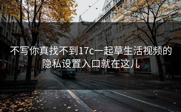不写你真找不到17c一起草生活视频的隐私设置入口就在这儿