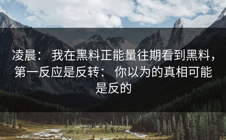 凌晨： 我在黑料正能量往期看到黑料，第一反应是反转： 你以为的真相可能是反的