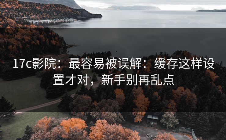 17c影院:最容易被误解:缓存这样设置才对,新手别再乱点 17c影院:最容易被误解:缓存这样设置才对,新手别再乱点